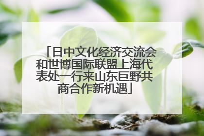 日中文化经济交流会和世博国际联盟上海代表处一行来山东巨野共商合作新机遇