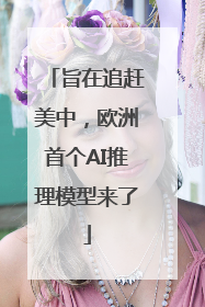 旨在追赶美中，欧洲首个AI推理模型来了