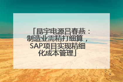 昆宇电源吕春燕：制造业需精打细算，SAP项目实现精细化成本管理