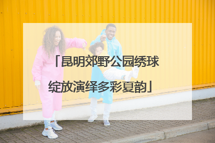 昆明郊野公园绣球绽放演绎多彩夏韵