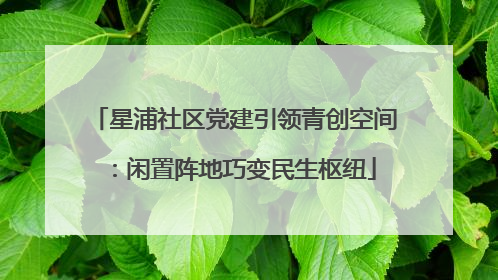 星浦社区党建引领青创空间：闲置阵地巧变民生枢纽