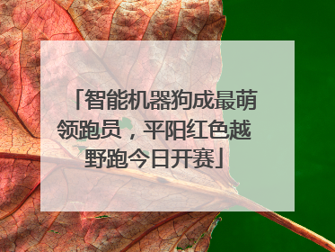 智能机器狗成最萌领跑员，平阳红色越野跑今日开赛