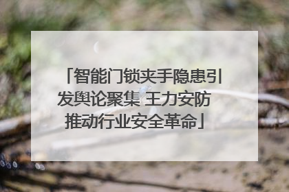 智能门锁夹手隐患引发舆论聚集 王力安防推动行业安全革命