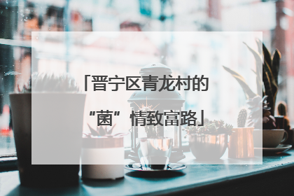 晋宁区青龙村的“菌”情致富路