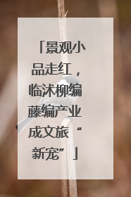 景观小品走红，临沭柳编藤编产业成文旅“新宠”