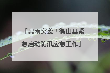暴雨突袭！衡山县紧急启动防汛应急工作