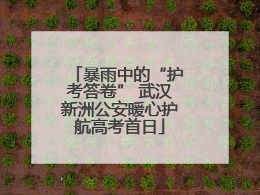 暴雨中的“护考答卷” 武汉新洲公安暖心护航高考首日