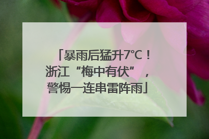 暴雨后猛升7℃！浙江“梅中有伏”，警惕一连串雷阵雨