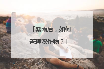 暴雨后，如何管理农作物？