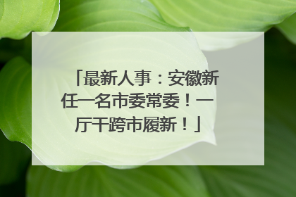 最新人事：安徽新任一名市委常委！一厅干跨市履新！