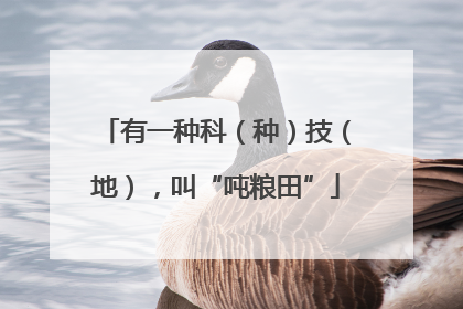 有一种科（种）技（地），叫“吨粮田”