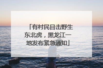 有村民目击野生东北虎，黑龙江一地发布紧急通知