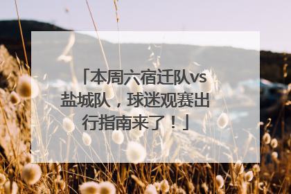本周六宿迁队vs盐城队，球迷观赛出行指南来了！