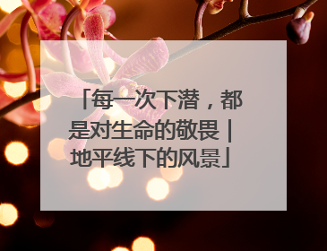 每一次下潜，都是对生命的敬畏｜地平线下的风景