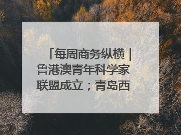 每周商务纵横｜鲁港澳青年科学家联盟成立；青岛西海岸国际能源自贸港启用