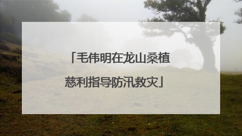 毛伟明在龙山桑植慈利指导防汛救灾
