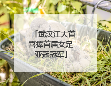 武汉江大首喜捧首届女足亚冠冠军