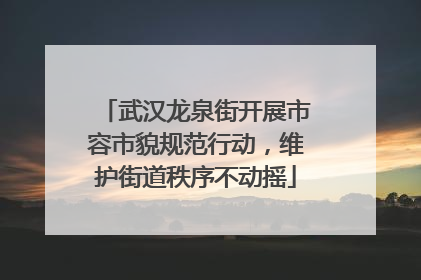 武汉龙泉街开展市容市貌规范行动，维护街道秩序不动摇