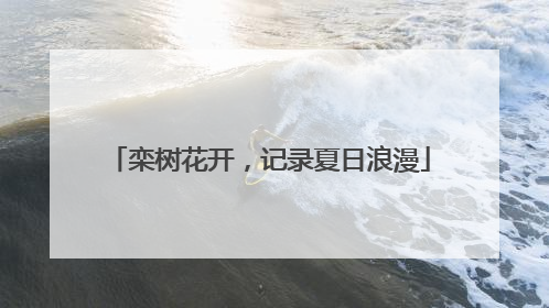 栾树花开，记录夏日浪漫