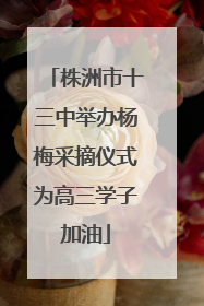 株洲市十三中举办杨梅采摘仪式为高三学子加油
