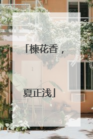 楝花香，夏正浅