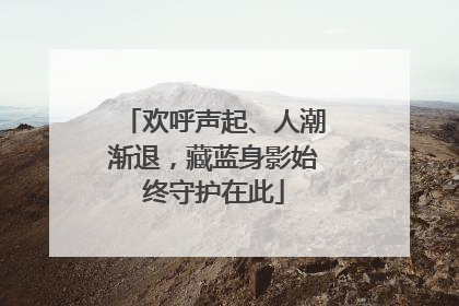 欢呼声起、人潮渐退，藏蓝身影始终守护在此