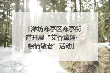 潍坊寒亭区寒亭街道开展“艾香童趣·粽情敬老”活动