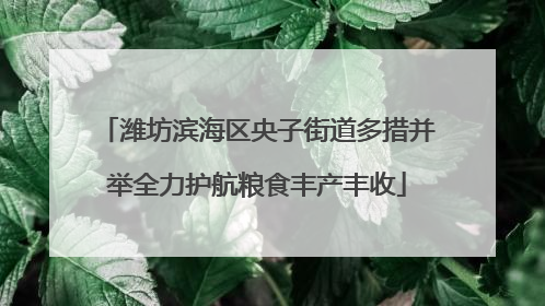 潍坊滨海区央子街道多措并举全力护航粮食丰产丰收