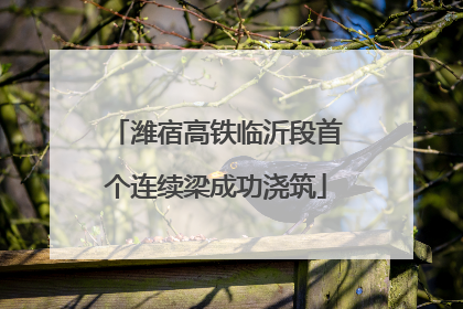 潍宿高铁临沂段首个连续梁成功浇筑