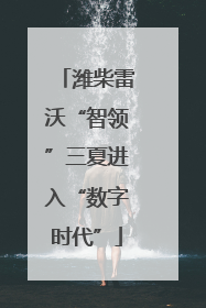 潍柴雷沃“智领”三夏进入“数字时代”
