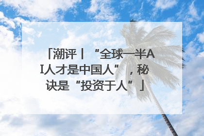 潮评丨“全球一半AI人才是中国人”，秘诀是“投资于人”