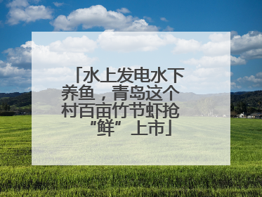 水上发电水下养鱼，青岛这个村百亩竹节虾抢“鲜”上市