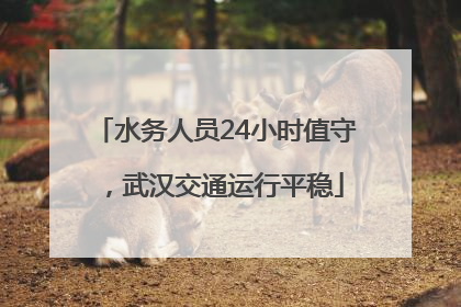 水务人员24小时值守，武汉交通运行平稳