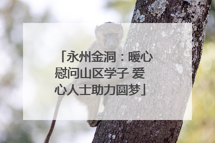 永州金洞：暖心慰问山区学子 爱心人士助力圆梦