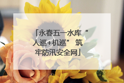永春五一水库“人巡+机巡” 筑牢防汛安全网