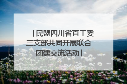 民盟四川省直工委三支部共同开展联合团建交流活动
