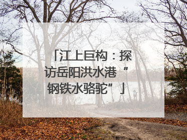 江上巨构：探访岳阳洪水港“钢铁水骆驼”