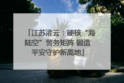 江苏灌云：硬核“海陆空”警务矩阵 锻造平安守护新高地