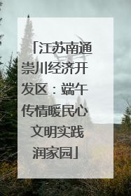 江苏南通崇川经济开发区：端午传情暖民心 文明实践润家园