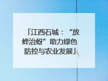 江西石城：“放蜂治蚜”助力绿色防控与农业发展