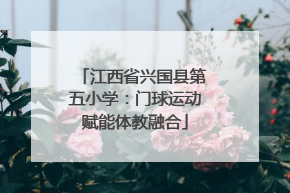 江西省兴国县第五小学：门球运动赋能体教融合