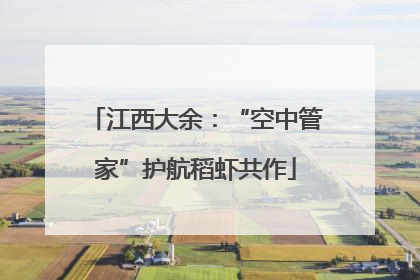 江西大余：“空中管家”护航稻虾共作
