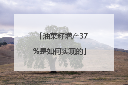 油菜籽增产37%是如何实现的