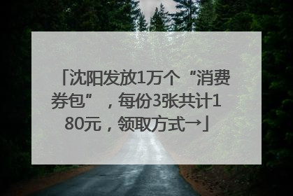 沈阳发放1万个“消费券包”，每份3张共计180元，领取方式→