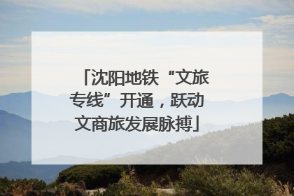 沈阳地铁“文旅专线”开通，跃动文商旅发展脉搏