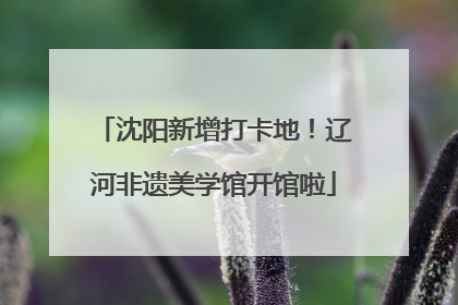 沈阳新增打卡地！辽河非遗美学馆开馆啦