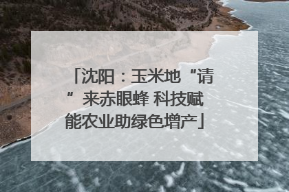 沈阳：玉米地“请”来赤眼蜂 科技赋能农业助绿色增产