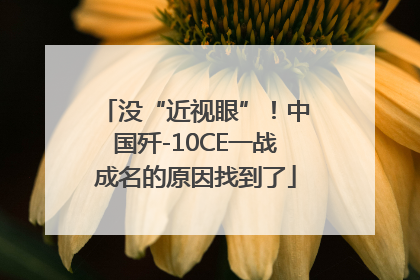 没“近视眼”！中国歼-10CE一战成名的原因找到了