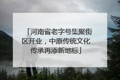 河南省老字号集聚街区开业，中原传统文化传承再添新地标