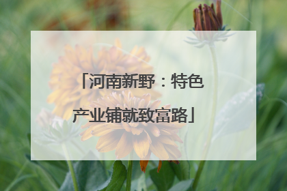 河南新野：特色产业铺就致富路